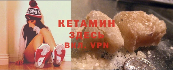 индика Карпинск