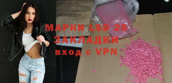 индика Карпинск