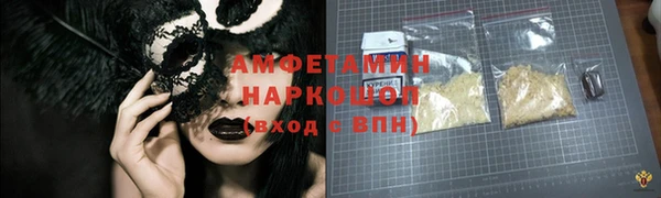 индика Карпинск