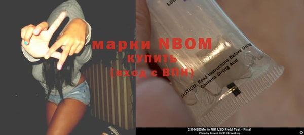 индика Карпинск