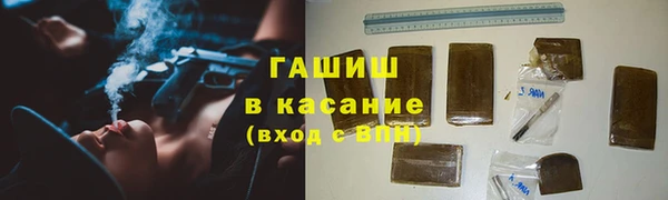 индика Карпинск