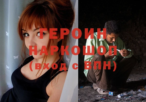 индика Карпинск