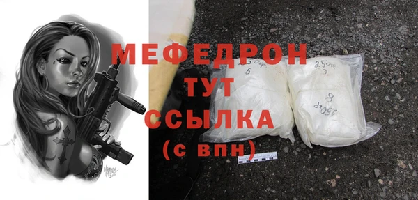 индика Карпинск