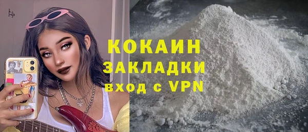 индика Карпинск