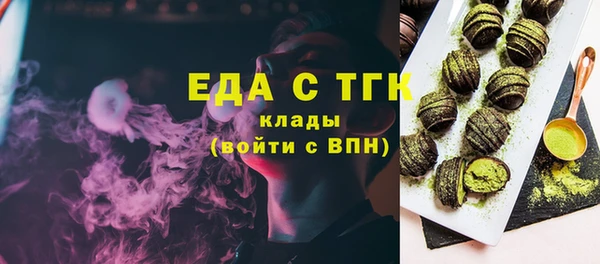 индика Карпинск
