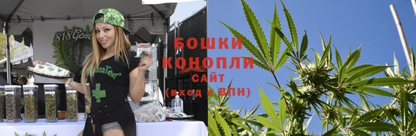 индика Карпинск