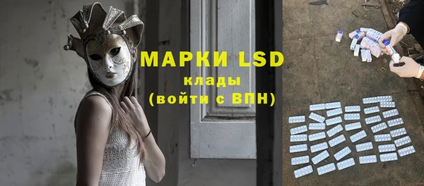 индика Карпинск