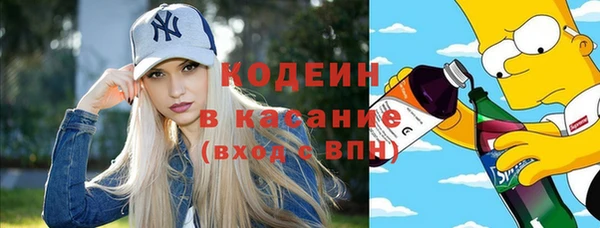 индика Карпинск