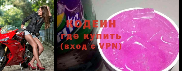индика Карпинск