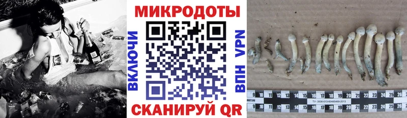 Купить закладки  Северобайкальск  Галлюциногенные грибы мицелий 