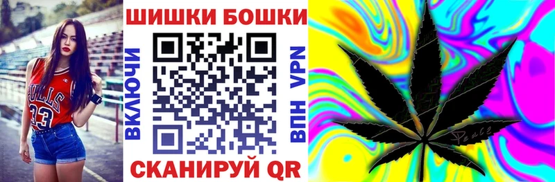 Купить закладки  Северобайкальск  Бошки марихуана сатива 